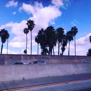 Agnès Varda Instagram - Nous y voilà ! Palmiers voitures et freeway... Comme dans un musical de @damien__chazelle ;)
