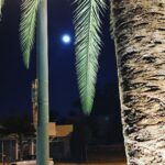 Agnès Varda Instagram - Peaceful #fullMoon over #Hollywood before the #Oscars !