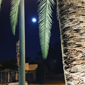 Agnès Varda Instagram - Peaceful #fullMoon over #Hollywood before the #Oscars !