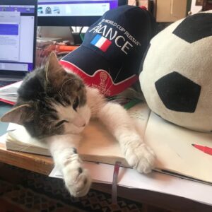 Agnès Varda Instagram - Nini en surlendemain de fête 🇫🇷⚽️