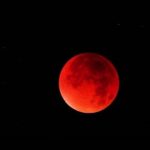 Agnès Varda Instagram - J’ai vu hier à minuit la pleine lune dans un ciel clair, mais je n’ai pas vu la lune rouge à 5h du mat’. Et vous ?