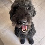 Agustina Cabo Instagram - Mi cara en la foto la pintó @manueladiazlima