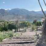 Agustina Cordova Instagram - Me da emoción publicar esto, porque cuando llegué a las @laspalapas_ lo primero que pensé, pero principalmente sentí fue: “qué lindo sería hacer una jornada de Yoga y Meditación en este lugar mágico” y como las intenciones del cora 🫀 resuenan en el Universo fuerte, un día me llegó la propuesta de un hacedor y creativo incansable @nicoscaiola (parte del equipo que lleva adelante tremendo lugar) con la idea de hacer un ciclo de Yoga y además surgió con la enorme bendición, porque las sincronicidades existen, claro que sí! Que a la actividad de YOGA Y MEDITACIÓN estaría acompañada de COSMOVIVENCIA ANDINA de la mano de queridos amig@s de @conciencia.activa_org y todo no podía ser más maravilloso! Que lindo generar este espacio sagrado de práctica fusionando saberes ancestrales ✨🛖 que lindo que sea en mi Mendoza amada! ✨ que lindo todo lo que va a pasar este Sábado! ✨que lindo todo lo que se viene! . YOGA Y COSMOVIVENCIA ANDINA 🗓Sábado 2/04 10:30hs a 13:00hs 📍Las Palapas, Potrerillos Mendoza . Entre sahumos, ásanas, meditaciones y montañas conjugamos saberes ancestrales con la misma búsqueda: conexión con la unidad, desde todo tu ser. Yoga y Cosmovivencia Andina se unen para llevarte al encuentro con tu espacio sagrado. Una experiencia única en la montaña, con el poder de todos elementos presentes en conexión. . Cupos limitados ✍🏼 Reservas: @laspalapas_