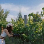 Agustina Cordova Instagram - dump de la Vendimia en Mendoza, porque lo merece. 🍇🍷 Cosecha, siestas, un blend ganador, fueguito de @bandaloschinos , un grupo de gente hermosa, registros mágicos de @claritacao @juanchiroisman montañas, atardeceres y altos vinos Mendoza, maravillosa 🍇🍷⛰️