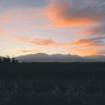 Agustina Cordova Instagram - dump de la Vendimia en Mendoza, porque lo merece. 🍇🍷 Cosecha, siestas, un blend ganador, fueguito de @bandaloschinos , un grupo de gente hermosa, registros mágicos de @claritacao @juanchiroisman montañas, atardeceres y altos vinos Mendoza, maravillosa 🍇🍷⛰️