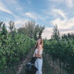Agustina Cordova Instagram - dump de la Vendimia en Mendoza, porque lo merece. 🍇🍷 Cosecha, siestas, un blend ganador, fueguito de @bandaloschinos , un grupo de gente hermosa, registros mágicos de @claritacao @juanchiroisman montañas, atardeceres y altos vinos Mendoza, maravillosa 🍇🍷⛰️
