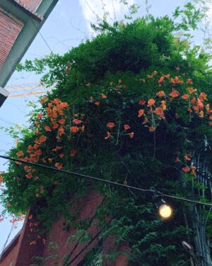 Ahn Seo-hyun Instagram - 부산 여행🪿