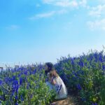 Ahn Ji-young Instagram - 바람 사람 🌼