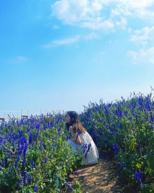 Ahn Ji-young Instagram - 바람 사람 🌼