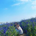 Ahn Ji-young Instagram - 바람 사람 🌼