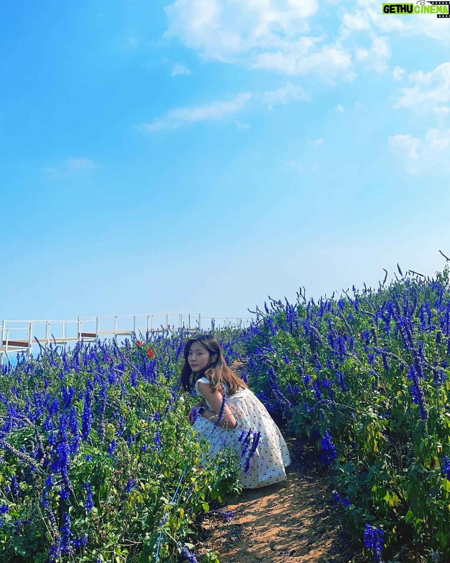Ahn Ji-young - 25.7K Likes - 바람 사람 🌼