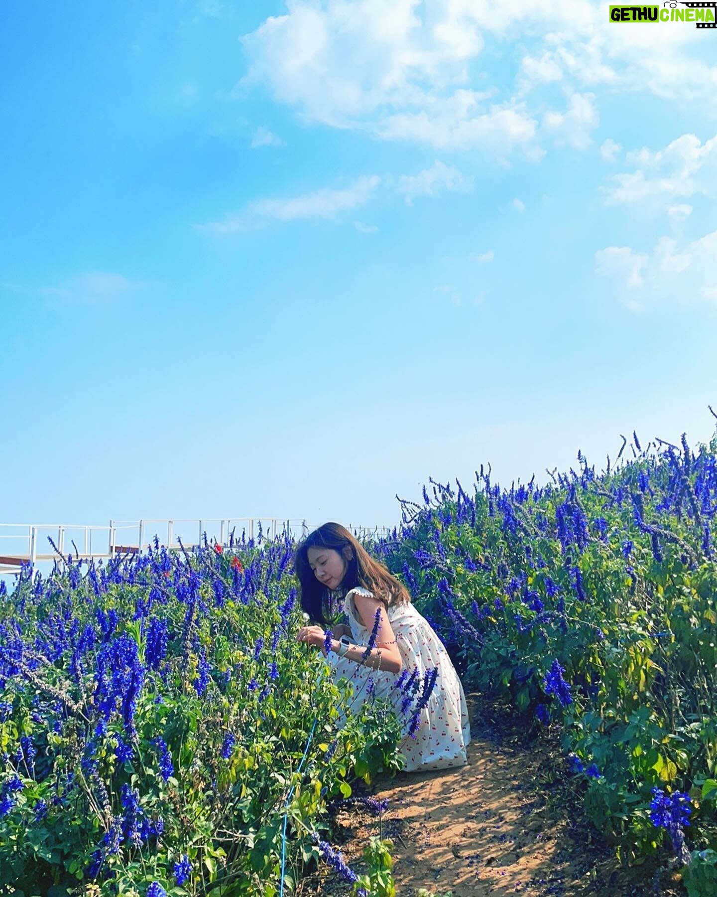 Ahn Ji-young - 25.7K Likes - 바람 사람 🌼