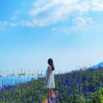 Ahn Ji-young Instagram - 바람 사람 🌼