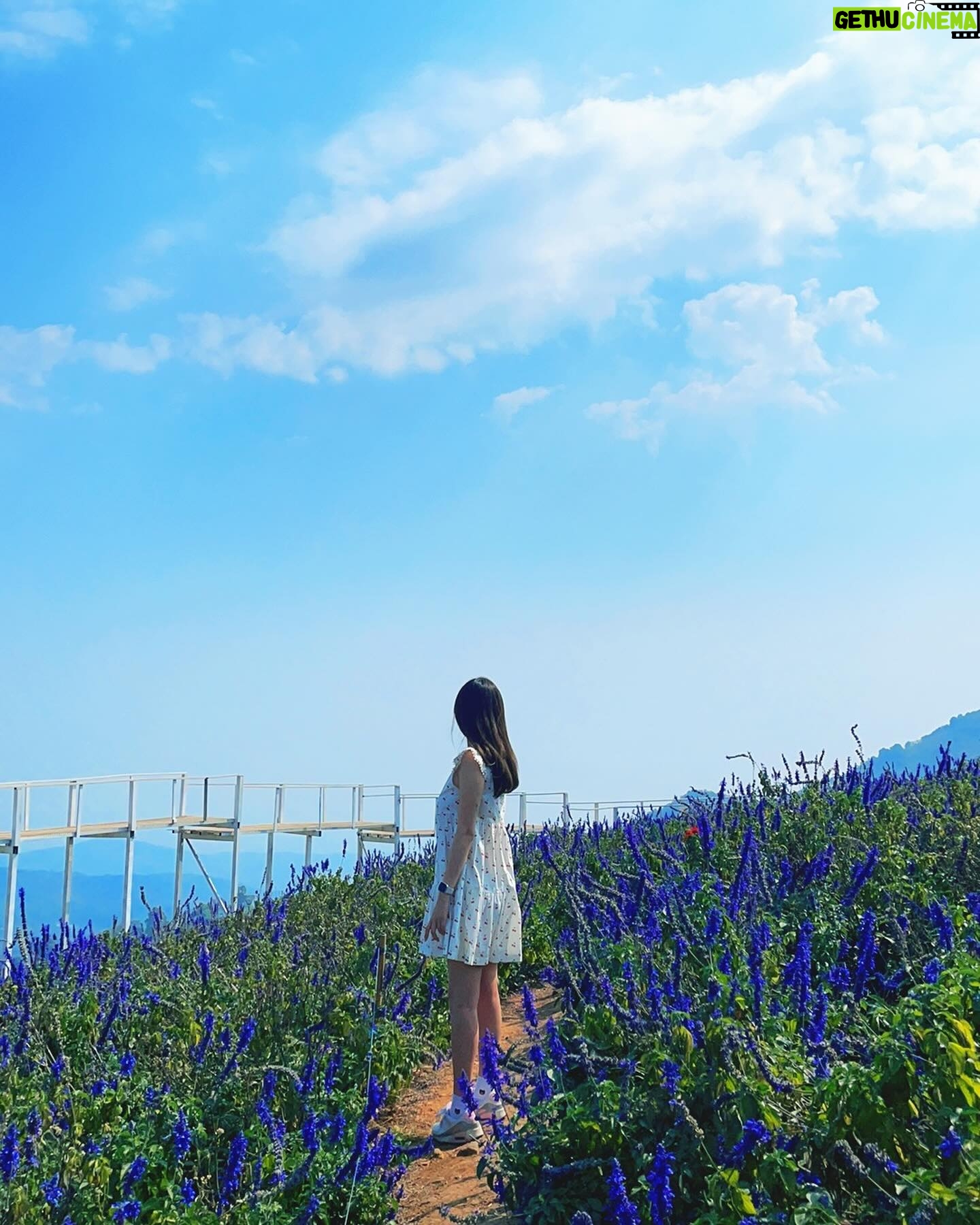 Ahn Ji-young - 25.7K Likes - 바람 사람 🌼