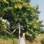 Ahn Ji-young Instagram - 바람 사람 🌼