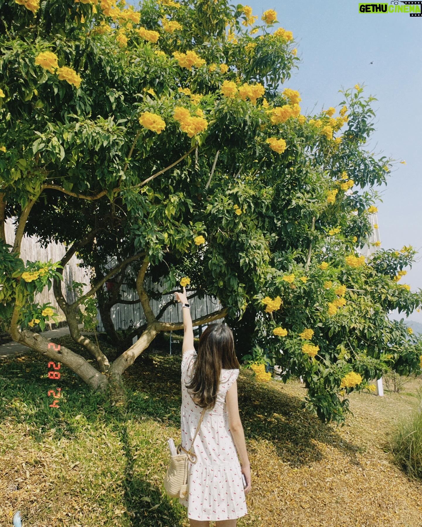 Ahn Ji-young - 25.7K Likes - 바람 사람 🌼