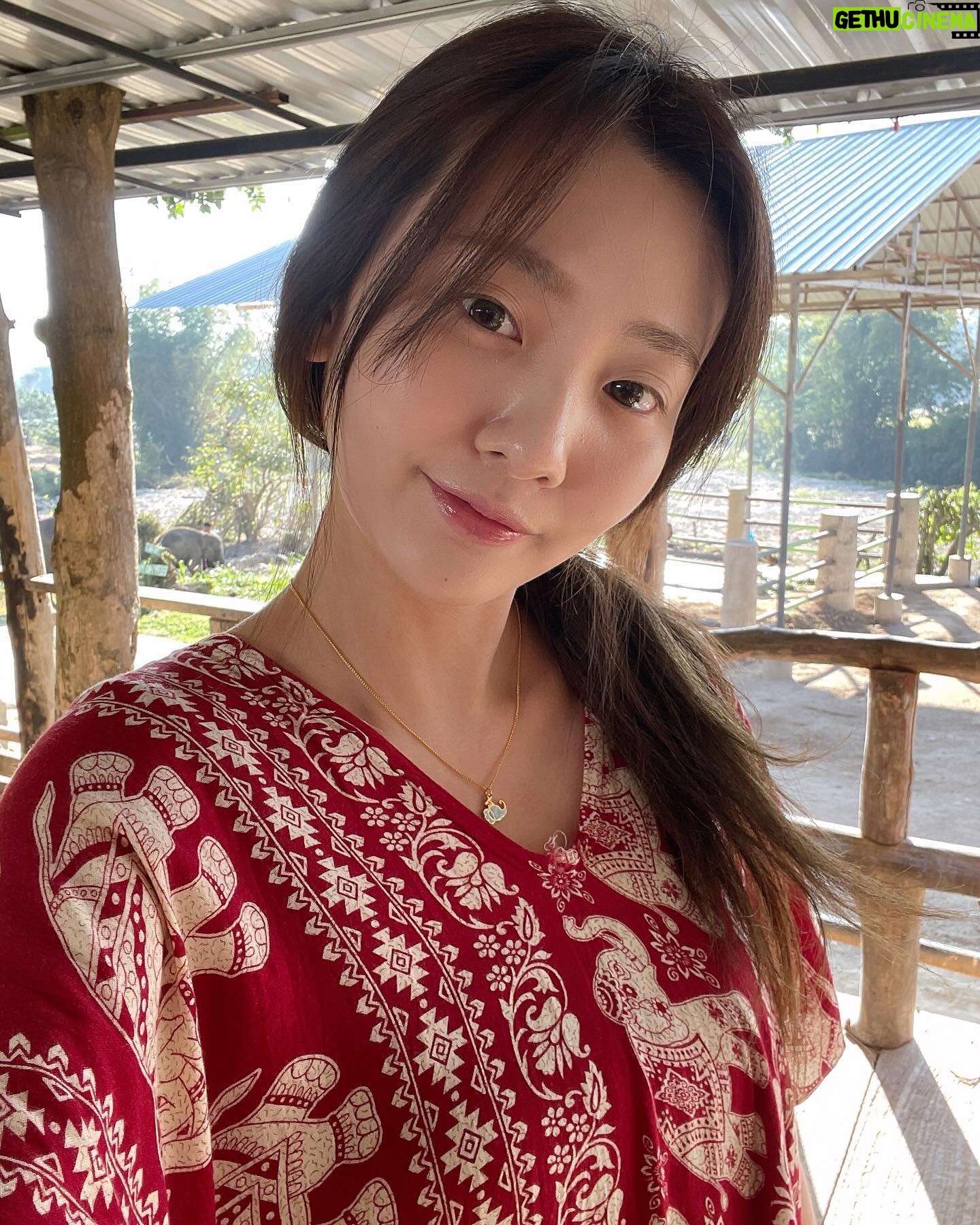 Ahn Ji-young - 18.4K Likes - 콕끼리 안뇽👋
버내너 안뇽🍌