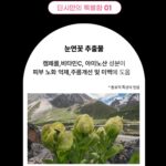 Ahn Sun-Young Instagram - 여러분... 어제 오늘 기사보셨는지 모르겠지만, 영광스럽게도, 대한민국 최고의 98년 역사와 전통의 #유한양행 @yuhan__official 에서 처음으로 선보이는 K뷰티브랜드 #딘시 @dinsee.official 의 공식 앰버서더로써 계약하고 활동을 시작하게되었어요. 단순히 304050 K주부를 대표하는 “브랜드모델”의 개념을 넘어선, 지난 23년간의 홈쇼핑과 라이브 B2C 세일즈파워를 높이 사주셔서, 전반적인 브랜드의 운영과 B2B 프로젝트, 신상품 R&D 등에 전략기획으로 “함께 뛸수있는 파트너쉽”의 의미를 주셨기에 더욱 의미가 깊네요. 순 우리말로 “마침내”의 뜻을 지닌 이쁜 이름 앞으로 많이 사랑해주시고 자랑스런 K뷰티 상품으로 전세계로 뻗어나갈수 있도록 기억해주시면 감사하겠습니다. 또한 딘시브랜드의 라이브커머스는 바로스가 도맡아 전략/마케팅실행/플랫폼별 운영까지 하게된바, 신생 회사가 유한양행처럼 굴지의 대기업과 함께 성장해가는 기회를 잡을수 있었던것또한 모두가., 여러분의 관심과 사랑덕분입니다 🫶🏻 잠시 라이브 열어 소식전하고 내일 대망의 #바로스코퍼레이션 이 전략 기획 실행하는 #딘시X#카카오셀렉트라이브 첫 런칭 방송인바 지난 며칠 매일 야근도 즐겁게 만든 여러분을 위한 다양한 혜택 제일먼저 소식 전할께요🩷 육퇴하셨으면 우리 함께 수다해요🫶🏻