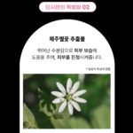 Ahn Sun-Young Instagram - 여러분... 어제 오늘 기사보셨는지 모르겠지만, 영광스럽게도, 대한민국 최고의 98년 역사와 전통의 #유한양행 @yuhan__official 에서 처음으로 선보이는 K뷰티브랜드 #딘시 @dinsee.official 의 공식 앰버서더로써 계약하고 활동을 시작하게되었어요. 단순히 304050 K주부를 대표하는 “브랜드모델”의 개념을 넘어선, 지난 23년간의 홈쇼핑과 라이브 B2C 세일즈파워를 높이 사주셔서, 전반적인 브랜드의 운영과 B2B 프로젝트, 신상품 R&D 등에 전략기획으로 “함께 뛸수있는 파트너쉽”의 의미를 주셨기에 더욱 의미가 깊네요. 순 우리말로 “마침내”의 뜻을 지닌 이쁜 이름 앞으로 많이 사랑해주시고 자랑스런 K뷰티 상품으로 전세계로 뻗어나갈수 있도록 기억해주시면 감사하겠습니다. 또한 딘시브랜드의 라이브커머스는 바로스가 도맡아 전략/마케팅실행/플랫폼별 운영까지 하게된바, 신생 회사가 유한양행처럼 굴지의 대기업과 함께 성장해가는 기회를 잡을수 있었던것또한 모두가., 여러분의 관심과 사랑덕분입니다 🫶🏻 잠시 라이브 열어 소식전하고 내일 대망의 #바로스코퍼레이션 이 전략 기획 실행하는 #딘시X#카카오셀렉트라이브 첫 런칭 방송인바 지난 며칠 매일 야근도 즐겁게 만든 여러분을 위한 다양한 혜택 제일먼저 소식 전할께요🩷 육퇴하셨으면 우리 함께 수다해요🫶🏻