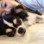 Ahn Sun-Young Instagram – #나의따뜻한강아지 
이노래를 들으니 천국간 우리 대박이🐶가 너무 그립네요… 

늘 혼자서 밤늦도록 일하고 오는 나를 애타게 기다렸을 아이. 
내가 뱃속에 바로를 품고 있을때 늘 24시간 나를 지켜주었던… 
바로가 태어나도 늘 갓난아이 곁을 조심스레 맴돌며 아이를 지켜주던 내사랑🩷

잘지내지 대박아..? 
천국에서 울엄마 안아프게 잘 지켜봐주고, 
19살 나나할미견 가는 날까지 고통없이 아프지않게 살다갈수 있게 수호천사가 되어주렴🩵🩷

#민트클라우드🩵
#나의따뜻한강아지🐶