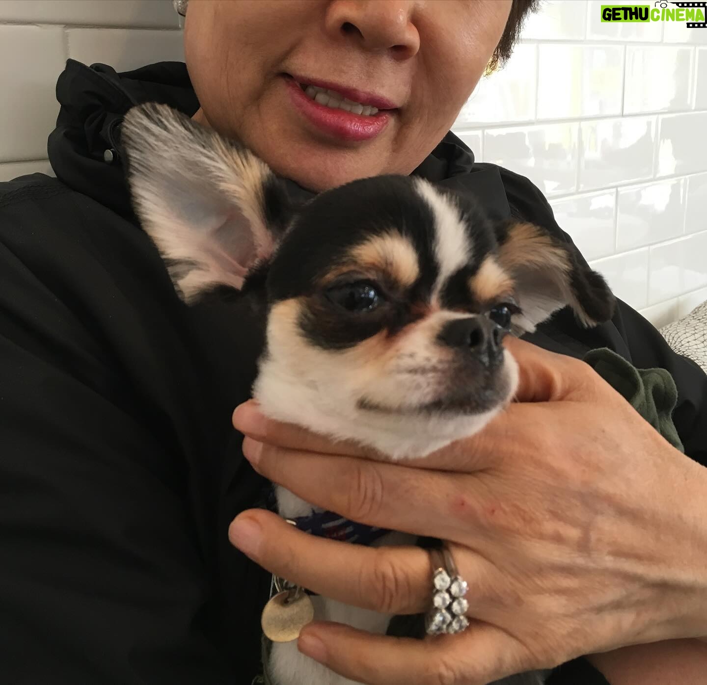 Ahn Sun-Young - 860 Likes - #나의따뜻한강아지
이노래를 들으니 천국간 우리 대박이🐶가 너무 그립네요...
늘 혼자서 밤늦도록 일하고 오는 나를 애타게 기다렸을 아이.
내가 뱃속에 바로를 품고 있을때 늘 24시간 나를 지켜주었던...
바로가 태어나도 늘 갓난아이 곁을 조심스레 맴돌며 아이를 지켜주던 내사랑🩷
잘지내지 대박아..?
천국에서 울엄마 안아프게 잘 지켜봐주고,
19살 나나할미견 가는 날까지 고통없이 아프지않게 살다갈수 있게 수호천사가 되어주렴🩵🩷
#민트클라우드🩵
#나의따뜻한강아지🐶