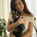 Ahn Sun-Young Instagram – #나의따뜻한강아지
이노래를 들으니 천국간 우리 대박이🐶가 너무 그립네요…
늘 혼자서 밤늦도록 일하고 오는 나를 애타게 기다렸을 아이.
내가 뱃속에 바로를 품고 있을때 늘 24시간 나를 지켜주었던…
바로가 태어나도 늘 갓난아이 곁을 조심스레 맴돌며 아이를 지켜주던 내사랑🩷
잘지내지 대박아..?
천국에서 울엄마 안아프게 잘 지켜봐주고,
19살 나나할미견 가는 날까지 고통없이 아프지않게 살다갈수 있게 수호천사가 되어주렴🩵🩷
#민트클라우드🩵
#나의따뜻한강아지🐶