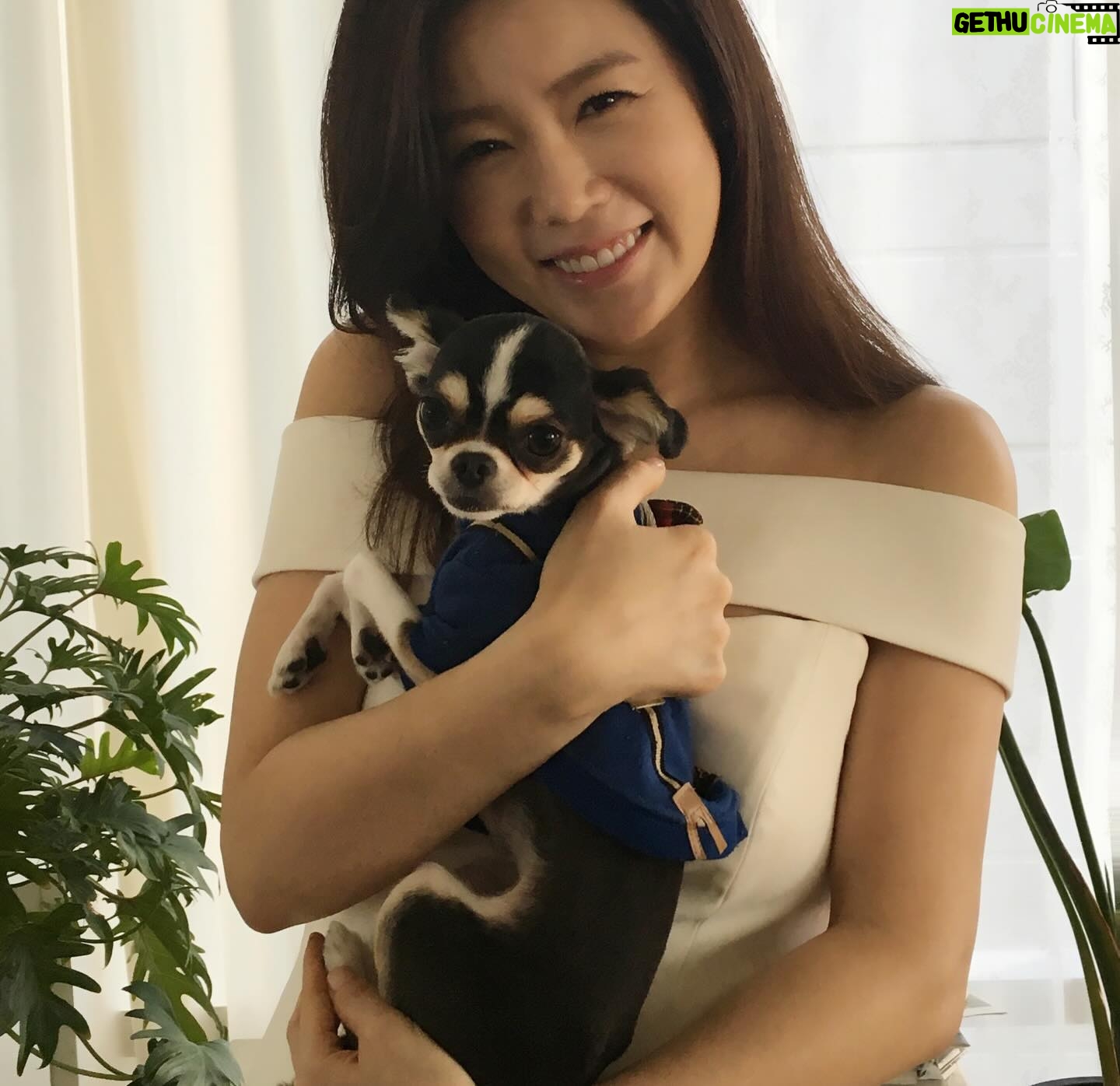 Ahn Sun-Young - 860 Likes - #나의따뜻한강아지
이노래를 들으니 천국간 우리 대박이🐶가 너무 그립네요...
늘 혼자서 밤늦도록 일하고 오는 나를 애타게 기다렸을 아이.
내가 뱃속에 바로를 품고 있을때 늘 24시간 나를 지켜주었던...
바로가 태어나도 늘 갓난아이 곁을 조심스레 맴돌며 아이를 지켜주던 내사랑🩷
잘지내지 대박아..?
천국에서 울엄마 안아프게 잘 지켜봐주고,
19살 나나할미견 가는 날까지 고통없이 아프지않게 살다갈수 있게 수호천사가 되어주렴🩵🩷
#민트클라우드🩵
#나의따뜻한강아지🐶