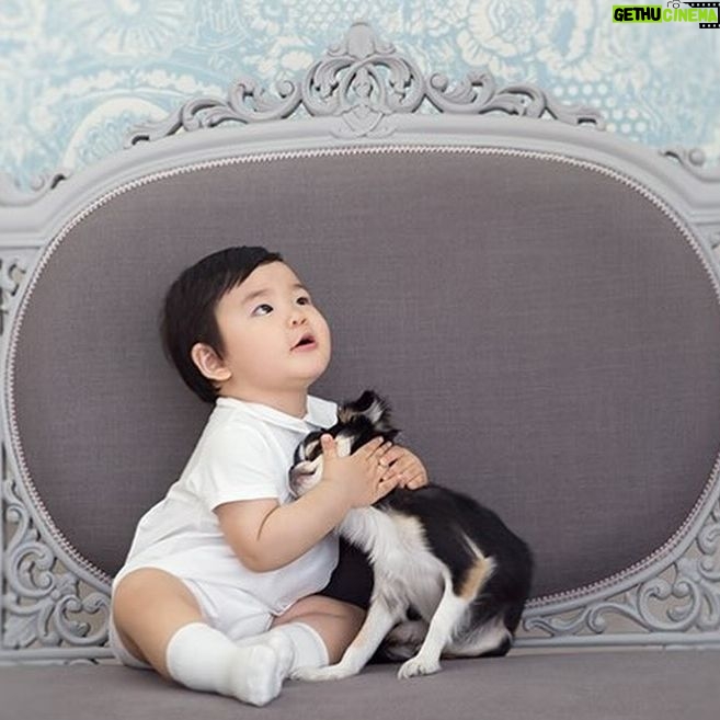 Ahn Sun-Young - 860 Likes - #나의따뜻한강아지
이노래를 들으니 천국간 우리 대박이🐶가 너무 그립네요...
늘 혼자서 밤늦도록 일하고 오는 나를 애타게 기다렸을 아이.
내가 뱃속에 바로를 품고 있을때 늘 24시간 나를 지켜주었던...
바로가 태어나도 늘 갓난아이 곁을 조심스레 맴돌며 아이를 지켜주던 내사랑🩷
잘지내지 대박아..?
천국에서 울엄마 안아프게 잘 지켜봐주고,
19살 나나할미견 가는 날까지 고통없이 아프지않게 살다갈수 있게 수호천사가 되어주렴🩵🩷
#민트클라우드🩵
#나의따뜻한강아지🐶
