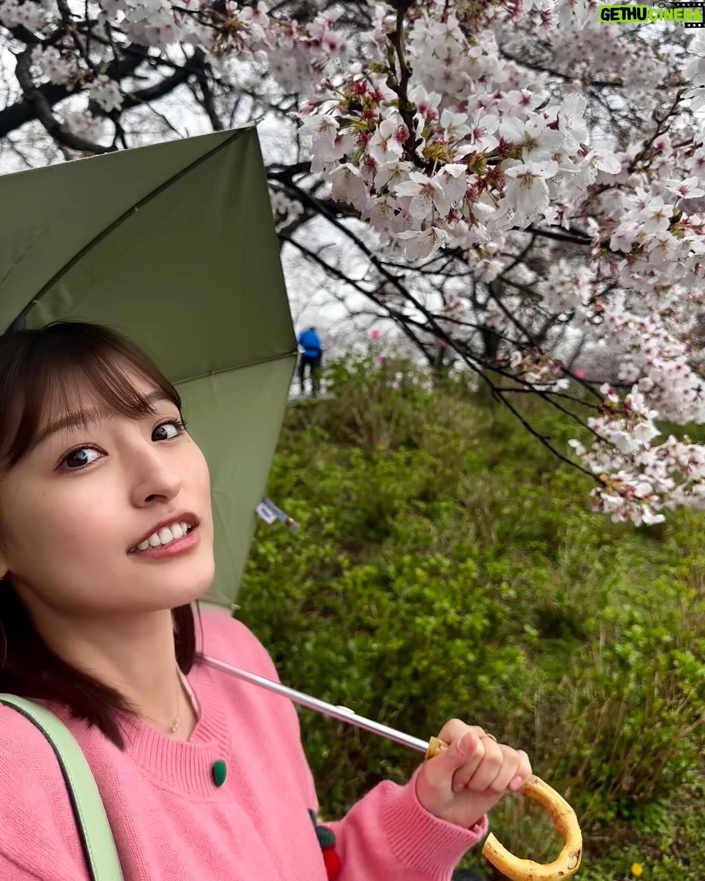Ai Moritaka - 2K Likes - 🌧️🌸