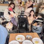 Ai Shinozaki Instagram - ・ 先日4月生まれの犬ちゃんたちの 合同誕生日会をしました🐶🎂✨ お揃いの誕生日コス みんな可愛い♡♡♡ 弁慶とコロネちゃんも お祝い犬として参戦🥳 つねちゃんは昨日誕生日だったね☺️ おめでとう🎂 たぬつねはショップも同じで幼馴染🫶 7年目もたくさん遊ぼ☺️ #合同誕生日会 #4月生まれ #aneacafe
