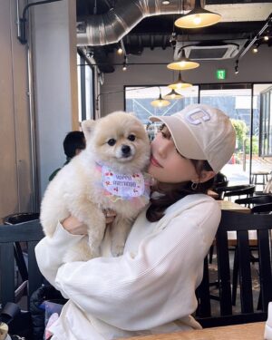 Ai Shinozaki Instagram - ・

バースデーおたぬ写真🐶❤️

あんまりツーショット撮らないから
嬉しい☺️

#4月生まれ
#ポメラニアン