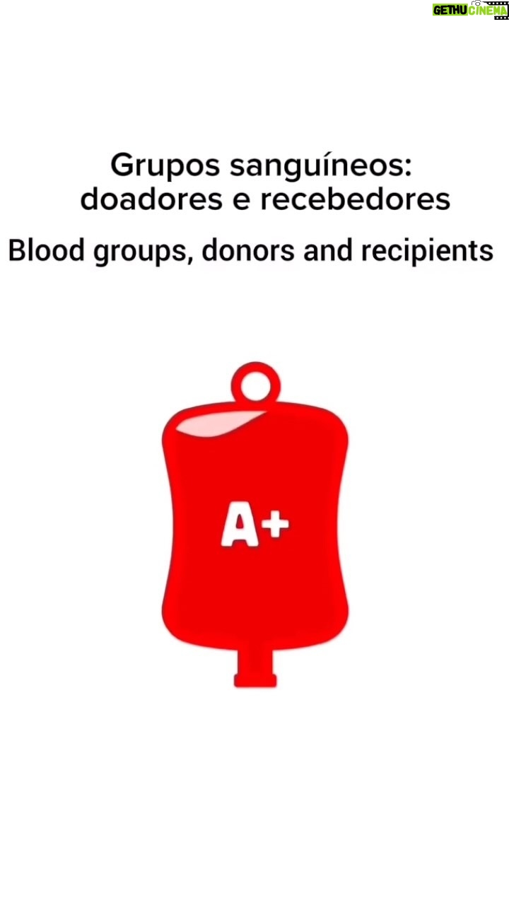 Aimée Madureira - 3 Likes - Doe sangue, doe vidas! @hemocentro.nf