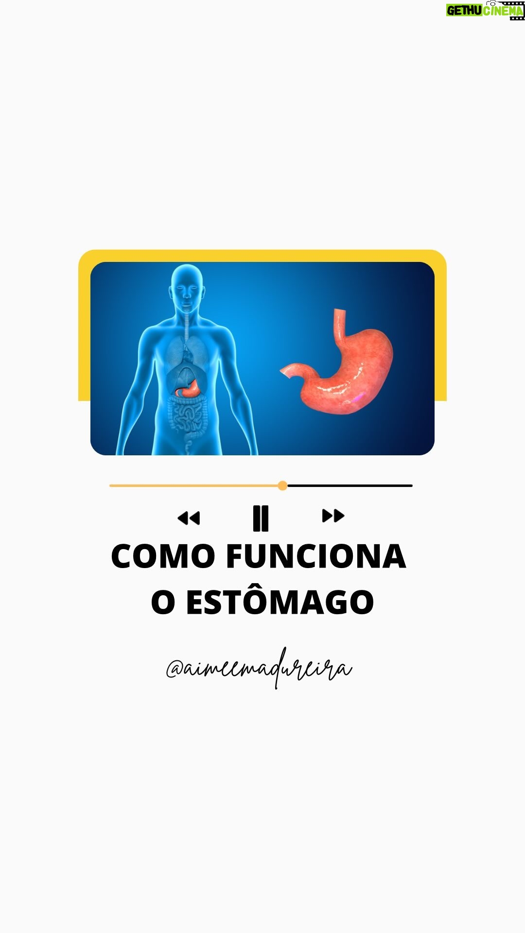 Aimée Madureira - 176 Likes - Mais um vídeo que vocês amam assistir!!!
A fisiologia é tudo ! Vamos aprender sobre o estômago hoje?
Nossa nutri @aimeemadureira do @spamariabonita @spamariabonitaipanema @spazziano gosta de falar que o estômago é o nosso órgão mais sentimental.
Afinal, quem nunca teve VONTADE de comer aquela comida específica em momentos de ansiedade, frustração, traumas ou só por causa daquele: “eu mereço” no final do dia ?!
Entenda melhor seus sentimentos e vontades. Aprenda a identificar com sabedoria e resiliência seus sentimentos pra melhorar sua saciedade e digestibilidade!👩🏼⚕️💛✨👨🏼⚕️
⚠️ Quando sentimos fome nosso cérebro aciona a grelina e quando estamos saciados ele aciona a leptina. Entretanto, a síntese e manutenção desses hormônios são em grande parte realizados durante o nosso sono, além de que a obesidade pode causar disfunções na liberação dos mesmos!
Portanto, precisamos entender que nosso organismo está todo interligado. Para alcançarmos o emagrecimento, saúde e melhor qualidade de vida, precisamos entender que é necessário realizar um estilo de vida e não somente uma dieta específica durante algum tempo! 🍀✨💛
Venha conhecer o @spamariabonita que ajudamos você a se apaixonar por esse processo! 🥦🍌🍋🥑🍍🥥 #estomago #fisiologia #nutri #healthlifestyle #healthyfood