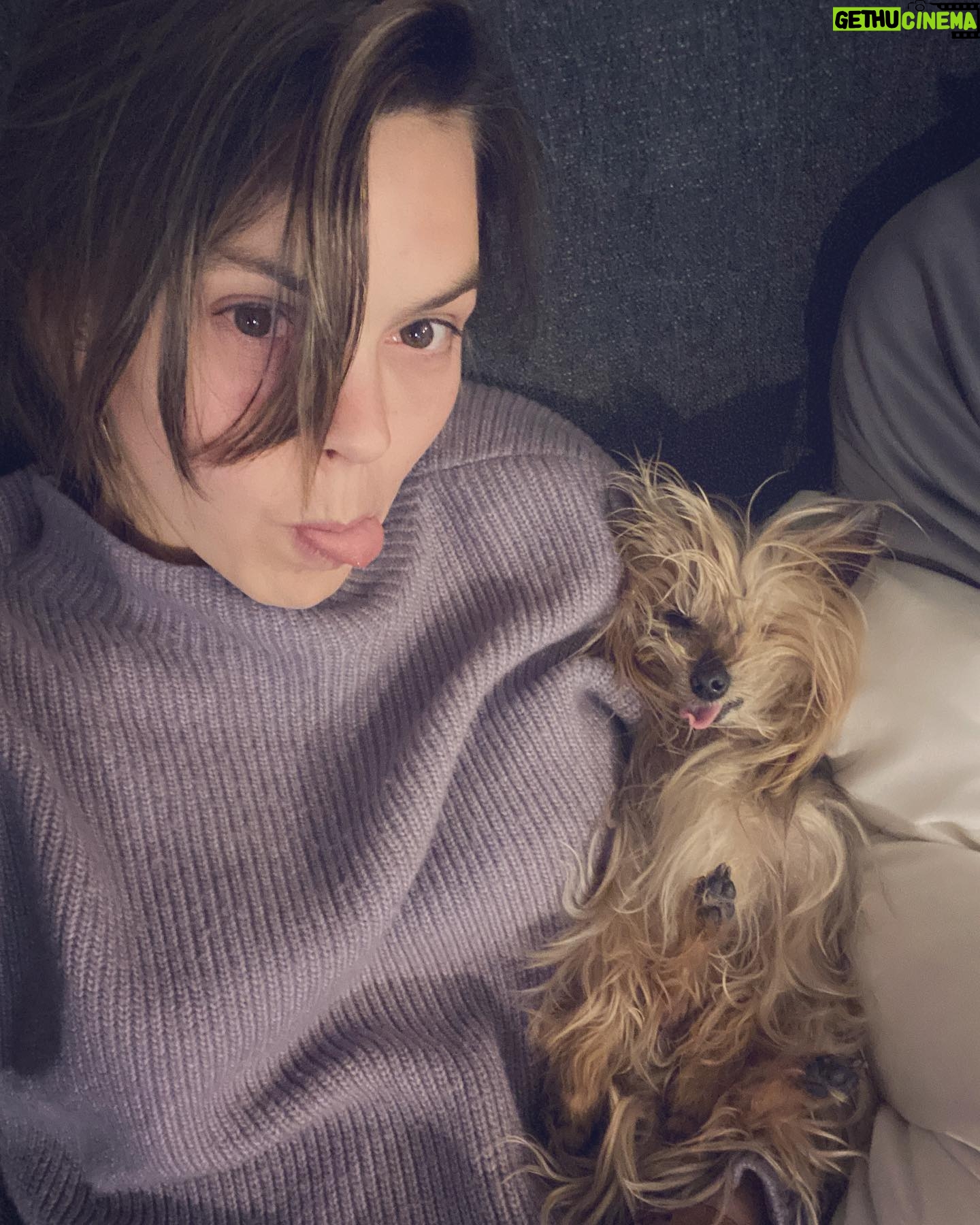 Aimee Teegarden - 2.7K Likes - A lil throwback twinning with @mizzgizmo for #nationaldogday š¶šš