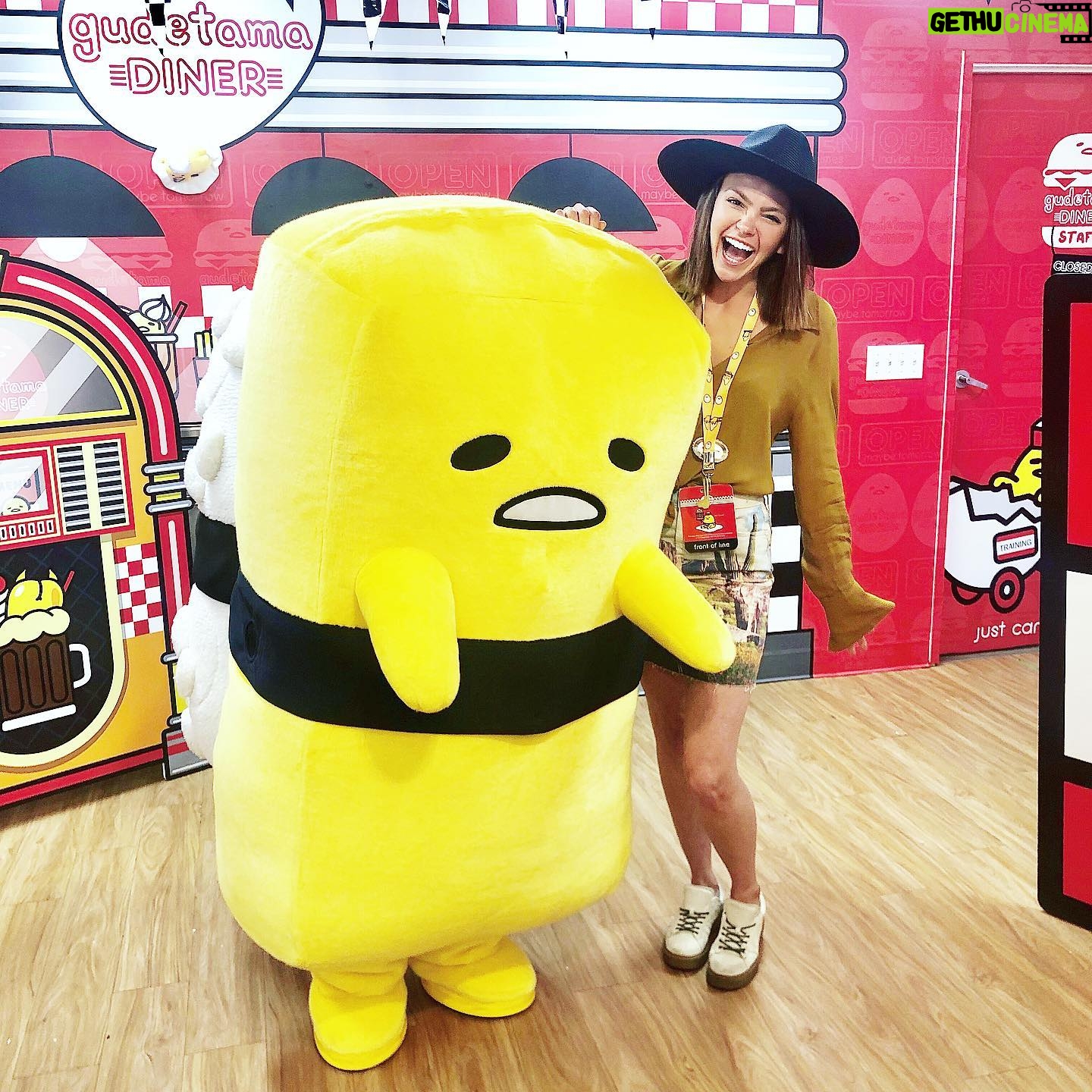 Aimee Teegarden - 2.6K Likes - When I got to hangout with @gudetama before the restraining order took effectš
š#fbf