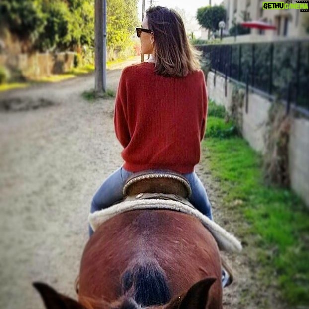 Aimee Teegarden - 2.6K Likes - LA and itās bumper to bumper traffic....š¦š¤ š“ #horsingaround