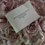 Aimee Carrero Instagram - I’ve heard the phrase “the days are long but the years are short” a lot lately. It’s a favorite among parents meditating on the passage of time while raising children, but, I wonder if it applies to all creative endeavors? ⁣ ⁣ Growing anything from scratch is a metamorphic labor. I’ve sewn many seeds in my lifetime, to mixed results. I’ve over-watered some plants to the detriment of others. I’ve grown tired and loathsome of my skills. I’ve taken much time to consider that maybe I have a cursed thumb—and that a garden is just not in the cards. ⁣ ⁣ But sometimes, there is God in a superbloom. Sometimes, fruit appears and keeps appearing. Sometimes, one has nothing to do with the result.⁣ ⁣ This is @mistertimrock to me. Our marriage is a blessing I have not earned. The maintenance is joyful and even when it’s not, it is done with much reverence. ⁣ ⁣ Happy anniversary, my love. ⁣ ⁣ With you, the days are short and the years are shorter.