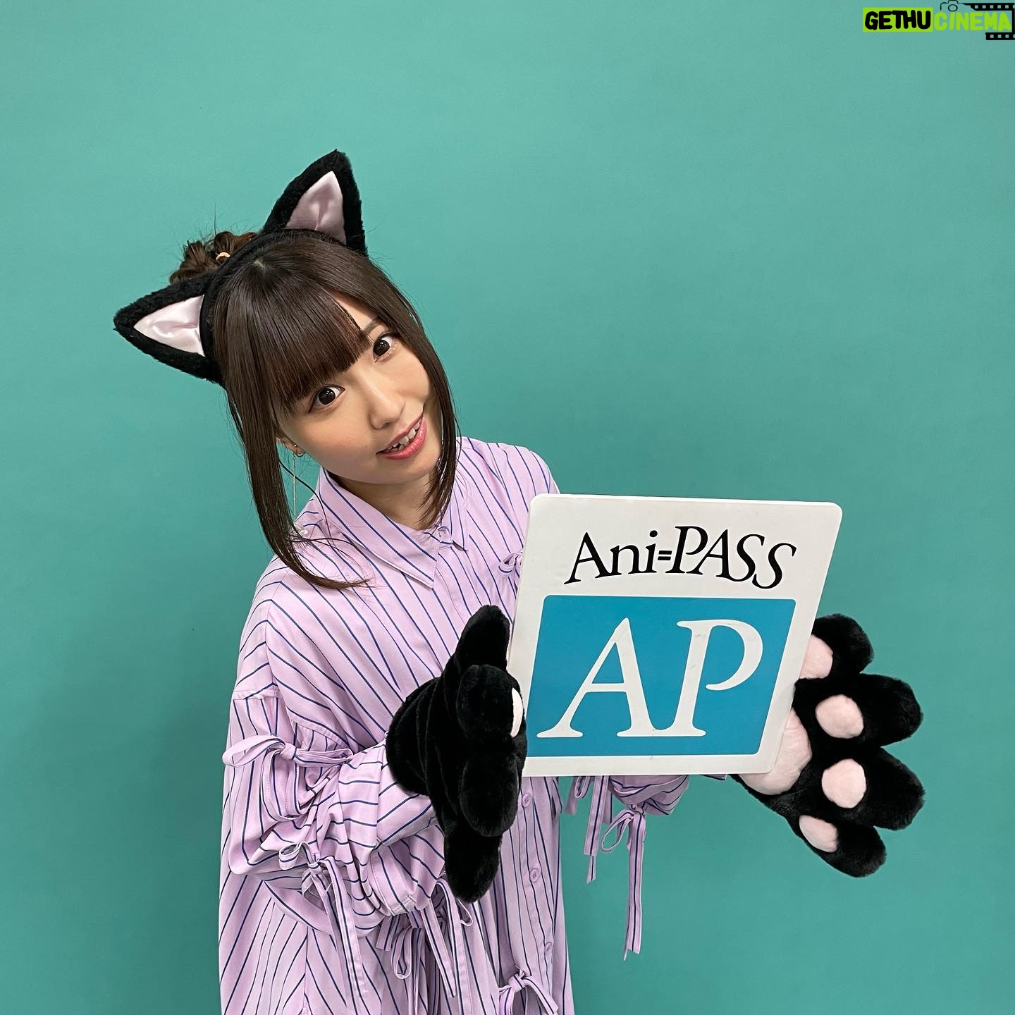 Aina Suzuki - 6.3K Likes - .
本日発売の「Ani-PASS Plus 03」に、撮り下ろし写真と横浜公演のレポートが掲載されております🥰💕
撮影では「えとにゃんらん」にちなんで猫耳を...🐈⬛😱💕オフショットも少しずつ上げていきますね🐈⬛
小道具の小鳥さん🦜が見守る中での撮影でした👏
#鈴木愛奈
#あいにゃ
#ainasuzuki
