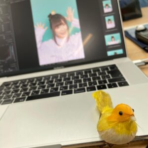 Aina Suzuki Instagram - .
本日発売の「Ani-PASS Plus 03」に、撮り下ろし写真と横浜公演のレポートが掲載されております🥰💕
撮影では「えとにゃんらん」にちなんで猫耳を...🐈‍⬛😱💕オフショットも少しずつ上げていきますね🐈‍⬛
小道具の小鳥さん🦜が見守る中での撮影でした👏

#鈴木愛奈
#あいにゃ
#ainasuzuki