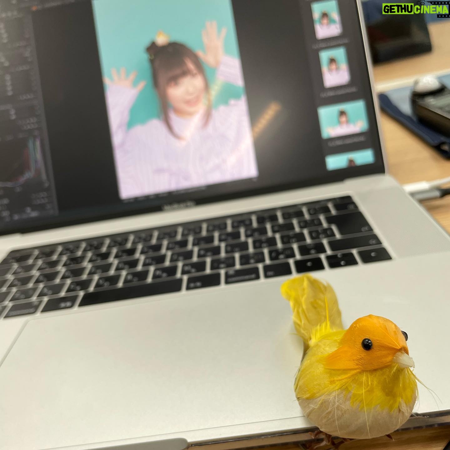 Aina Suzuki - 6.3K Likes - .
本日発売の「Ani-PASS Plus 03」に、撮り下ろし写真と横浜公演のレポートが掲載されております🥰💕
撮影では「えとにゃんらん」にちなんで猫耳を...🐈⬛😱💕オフショットも少しずつ上げていきますね🐈⬛
小道具の小鳥さん🦜が見守る中での撮影でした👏
#鈴木愛奈
#あいにゃ
#ainasuzuki