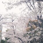 Aina Yamada