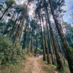 Aishwarya Sen Instagram - Roads were made for journeys, not destinations! . . . . . . . #mountains #nature #travel #landscape #hiking #photography #naturephotography #adventure #travelphotography #mountain #photooftheday #landscapephotography #naturelovers #love #wanderlust #snow #trekking #explore #instagood #sky #outdoors #sunset #travelgram #ig #beautiful #picoftheday #mountainlovers #winter #clouds