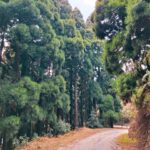 Aishwarya Sen Instagram - Roads were made for journeys, not destinations! . . . . . . . #mountains #nature #travel #landscape #hiking #photography #naturephotography #adventure #travelphotography #mountain #photooftheday #landscapephotography #naturelovers #love #wanderlust #snow #trekking #explore #instagood #sky #outdoors #sunset #travelgram #ig #beautiful #picoftheday #mountainlovers #winter #clouds