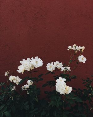 Aislinn Paul Instagram - This won’t mean much to you guys but I took this picture so long ago and I always forget to post it but not this time! It’s this photo’s time to shine! I’m proud of u lil pic 🖼