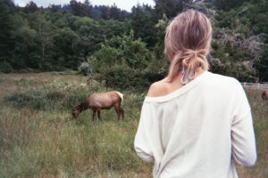 Aislinn Paul Instagram - Finally got some disposables developed 📸 just in time to celebrate the 3 year anniversary of spotting “reindeer” on our road trip 🦌😂
.
(June 2016)