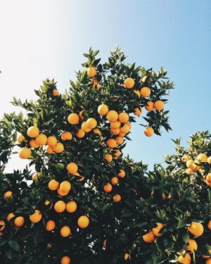 Aislinn Paul Instagram - 🍋🍋🍋🍋🍋🍋