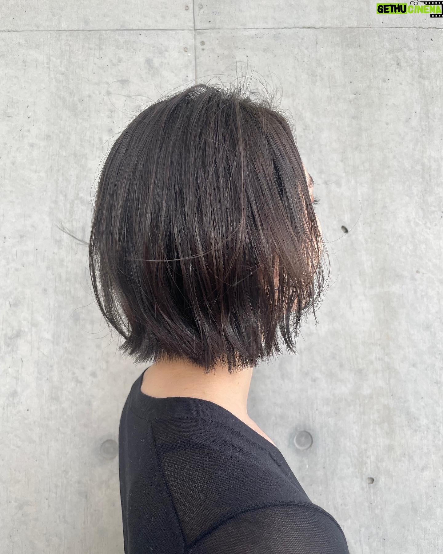 Akari Hayami - 7K Likes - _
少しだけ整えてもらったよ🥺
髪伸びたなぁーちょっと短いの飽きたなぁー
#ritz
#代官山ritz