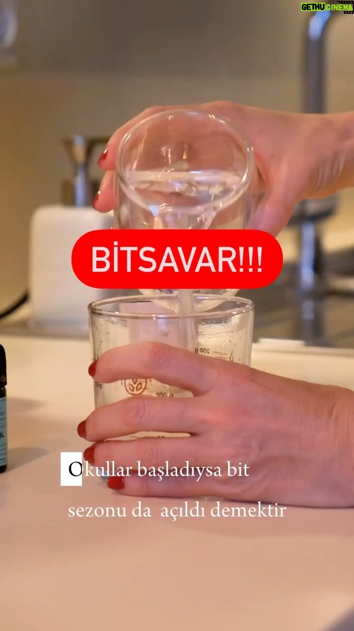 Akasya Asıltürkmen - 9K Likes - Seneler önce öz bakımın önemini anlatmak için Bitli Rapunzel’i yazdığımda bitlenmek benim için bir çocukluk anısıydı. Taa ki geçen sene Pera bitlenene kadar! Tahmin edersiniz ki Pera’nın beş kişilik saçı var benim gibi.
Bu arada bitlenmeni sosyal sınıf, temizlik vs ile çok da alakası yok. Tabii ki temizlik önemli ama korunmak daha önemli. Çünkü bit temiz kafa seviyor!!!
Bu sene kendi ellerimle bir solüsyon hazırladım. Araştırmalarım sonucu ortaya çıkan karışımı rahatlıkla evde hazırlayabilirsiniz.
Lavanta yağı erkek çocukları için önerilmiyor. Kızlar için bir sakınca yok. Sadece çay ağacı yağı bile çok koruyor. Ayrıca çay ağacı yağını normal şampuana da katabilirsiniz. Bitsiz bir okul sezonu olsun. 🙏🏻🤍
#tavsiye #akasyatips #öneri #bit #reels #bitlirapunzel