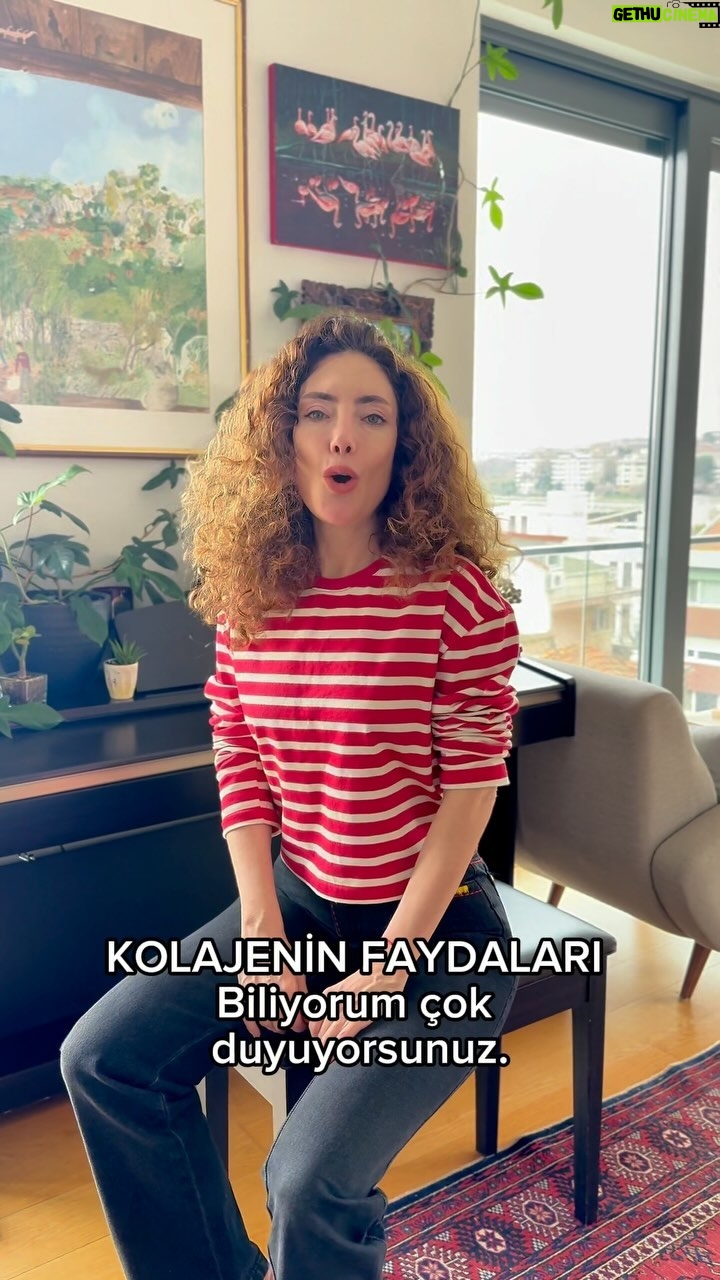 Akasya Asıltürkmen - 1.5K Likes - Uzman bilgisine danışılarak çekilmiştir.
Tip I Kolajen: Tip I kolajen, cilt, kemik, tendonlar, bağlar ve dişler gibi birçok dokunun ana bileşenidir. Cildin elastikiyetini artırır, kemiklerin sağlamlığını ve dayanıklılığını destekler.
Tip II Kolajen: Tip II kolajen, eklem kıkırdaklarının ana bileşenidir. Eklem sağlığı için önemlidir ve eklem hareketliliğini destekler.
Tip III Kolajen: Tip III kolajen, cilt, kan damarları, iç organlar ve bağırsakların yapısal desteğinden sorumludur. Esneklik ve dayanıklılık sağlar.
Tip IV Kolajen: Tip IV kolajen, temel membranların yapısında bulunur ve hücreler arası matriksi destekler. Özellikle böbreklerde, gözlerde ve cilt altı dokularda bulunur.
Tip V Kolajen: Tip V kolajen, hücreler arası matriksin bir parçasıdır ve dokuların sağlamlığını ve esnekliğini destekler. Özellikle plasenta, karaciğer ve akciğerlerde bulunur.
Her bir kolajen tipinin belirli dokuların sağlığına katkıda bulunduğunu görebiliriz. Bu nedenle, vücut için en uygun olanı, genellikle ihtiyaçlarına ve sağlık hedeflerine bağlı olarak belirlenir.
#kolajen