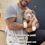 Alain Rocben Instagram - 🇫🇷Comment appellerais-tu ce trésor ? 🇪🇸Como llamarias esa preciosidad ? #dogsofinstagram #dogpeoplearedope #dogoftheday #doglove #dogs_of_instagram #alainrocben